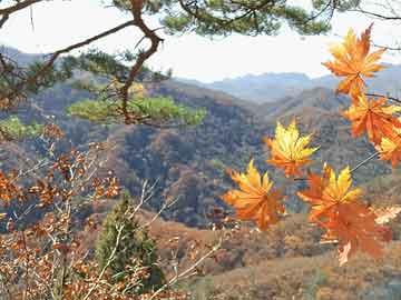 奥普光电：参股公司长光辰芯向上交所申请撤回首次公开发行股票并在科创板上市申请文件|界面新闻 · 快讯